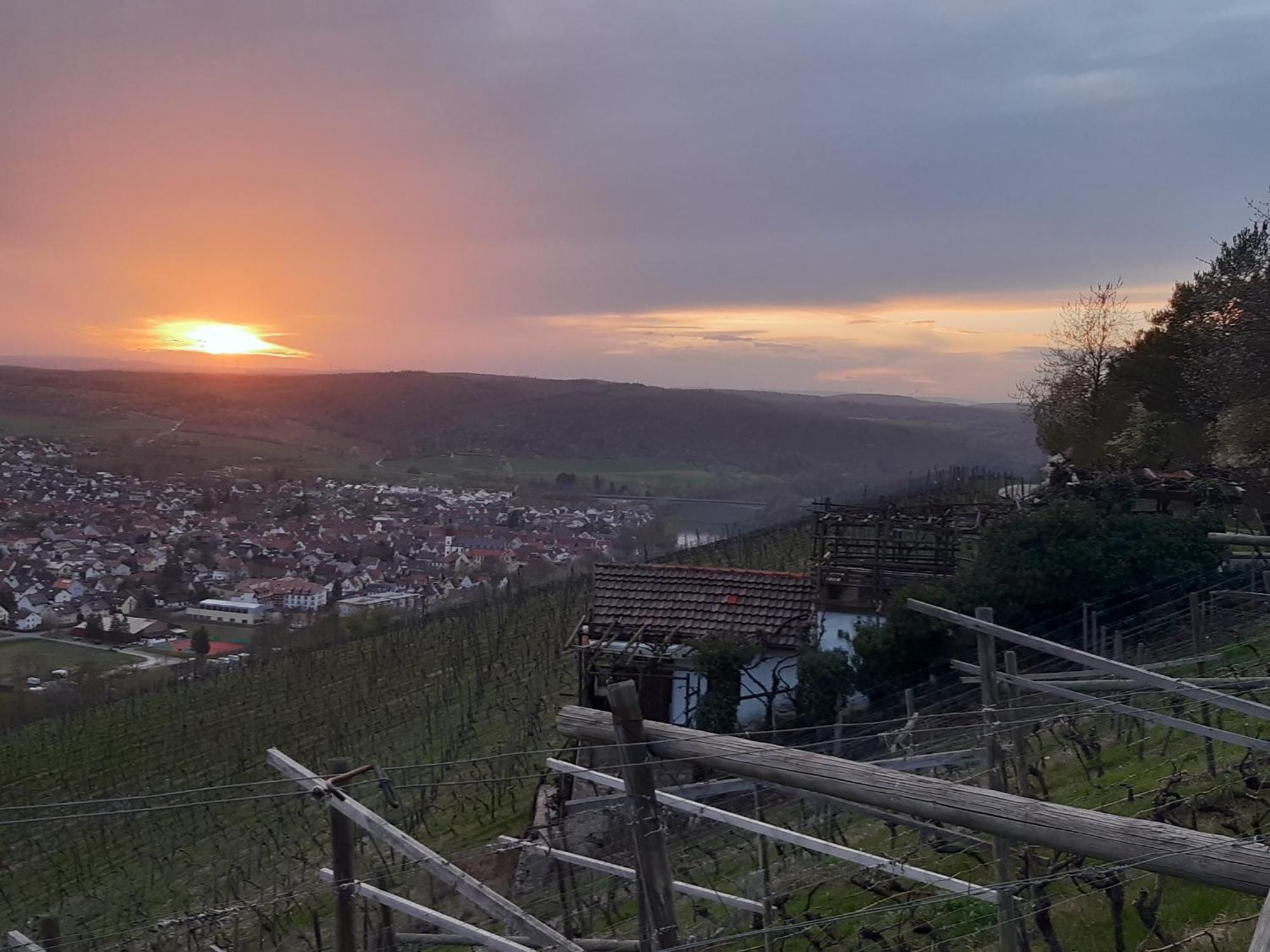 Ferienhaus An Der Hoeh' Zellingen Kültér fotó